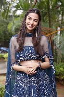 Meenakshi Chaudhary Gallery